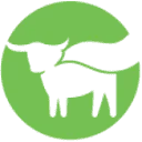 Beyond Meat
